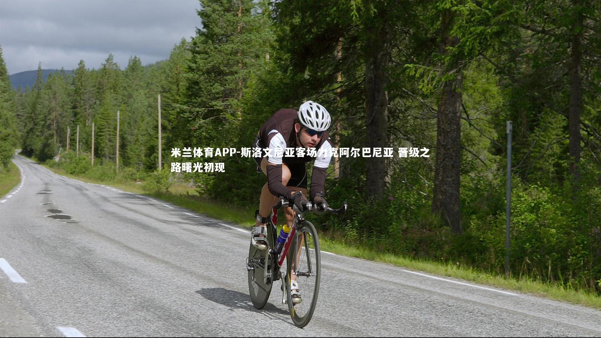 斯洛文尼亚客场力克阿尔巴尼亚 晋级之路曙光初现