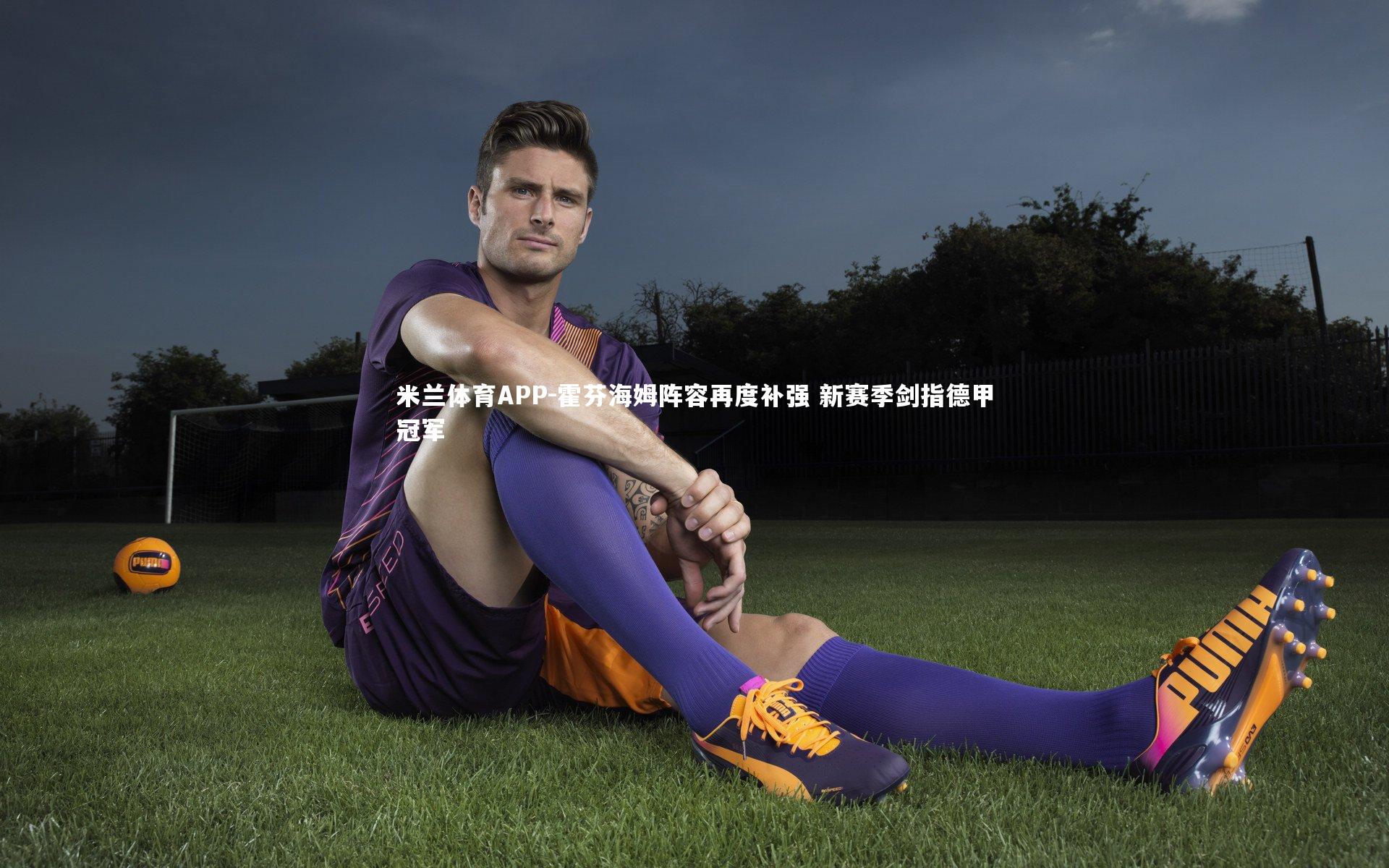 米兰体育APP-霍芬海姆阵容再度补强 新赛季剑指德甲冠军