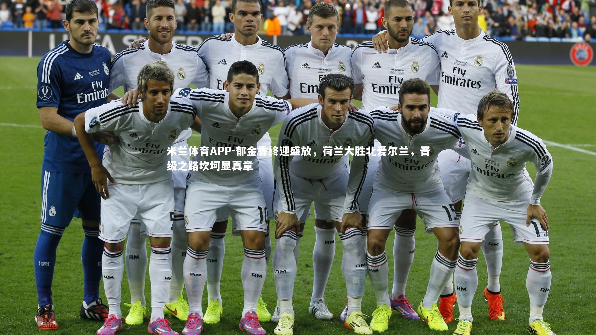 米兰体育APP-郁金香终迎盛放，荷兰大胜北爱尔兰，晋级之路坎坷显真章