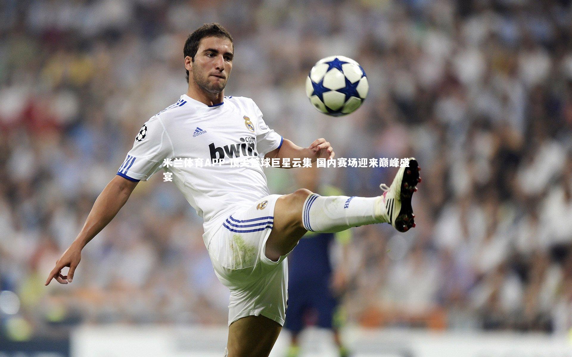 米兰体育APP-顶尖篮球巨星云集 国内赛场迎来巅峰盛宴